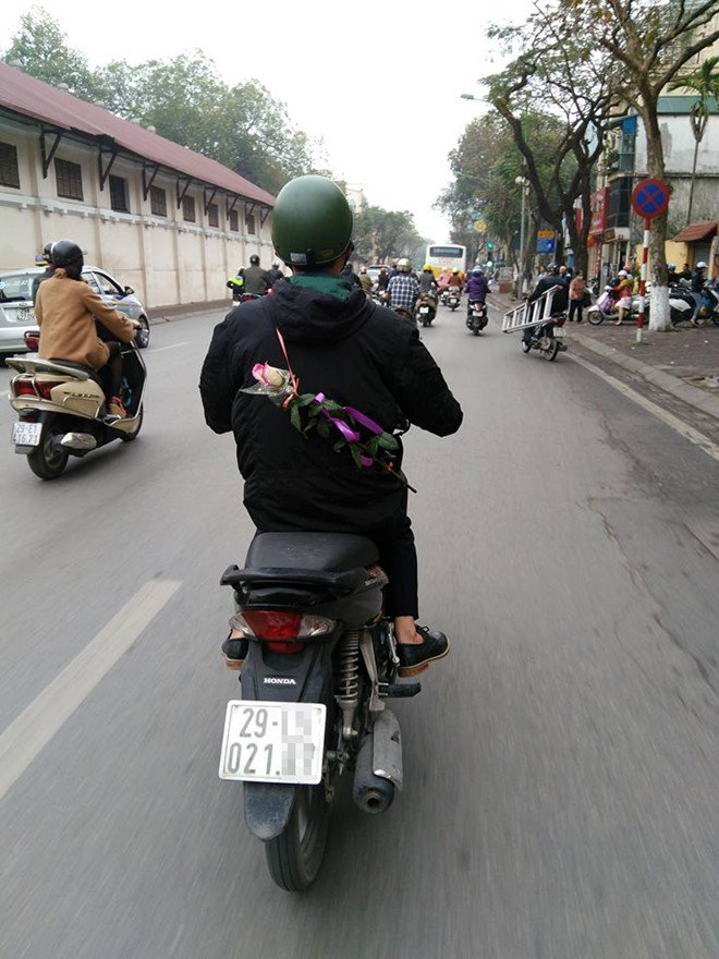 Bức ảnh chở một nhành hoa gây sốt ngày lễ Tình nhân